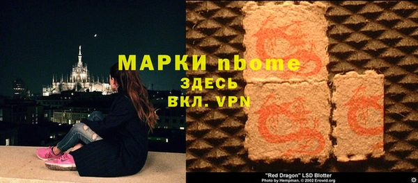 молекула духа Туринск