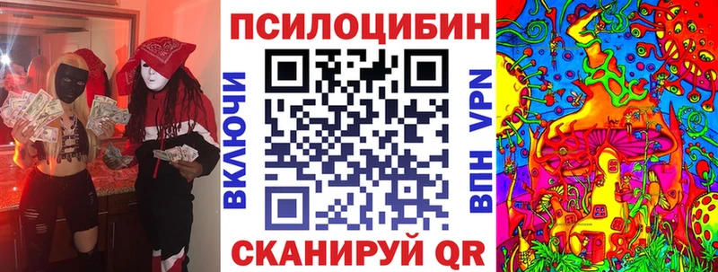 Галлюциногенные грибы Psilocybe  Купить где  Няндома 